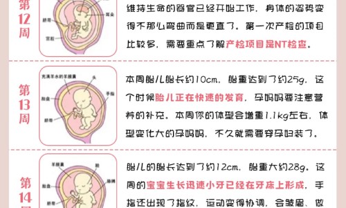 权威脑梗塞禁忌吃什么食物和水果平台,分享专业脑梗塞吃什么蔬菜食物有好处知识_脑梗塞禁忌吃什么食物网